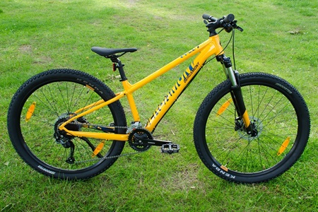 Bergamont Revox 4 orange Mountainbike